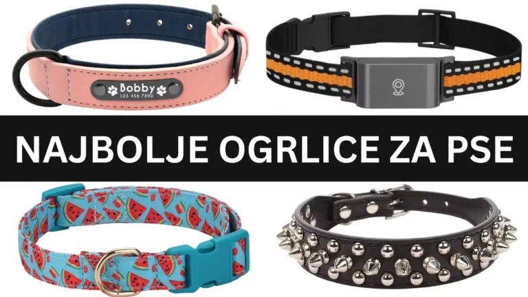 7 Najboljih oglica za pse (u 2026. godini)